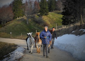 Lamatrekking Jura